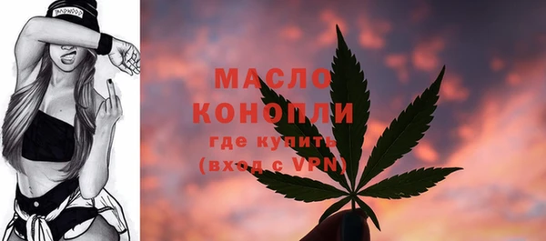 шишки Горнозаводск