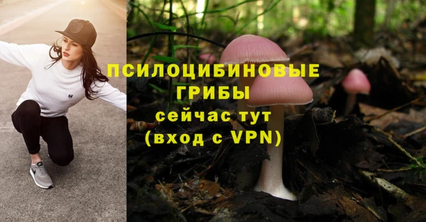 марки nbome Горняк