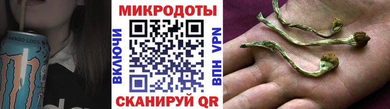 Псилоцибиновые грибы ЛСД дарнет шоп Кочубеевское